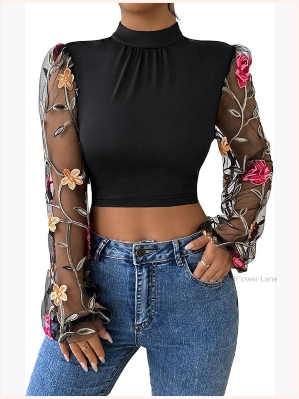 Floral Embroidery Mesh Long Sleeve Crop Top Mock Neck Bow Tie Back Sheer Blouse